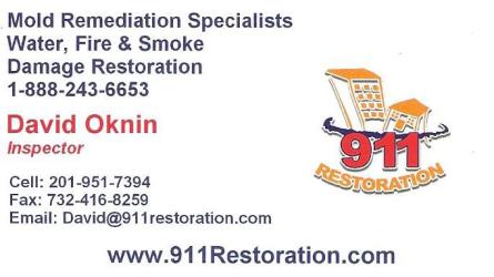 Mold Remediation Specialists